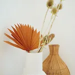 Birds Of Paradise - Boutique Surf Domek letniskowy *