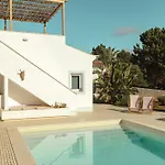 Birds Of Paradise - Boutique Surf *