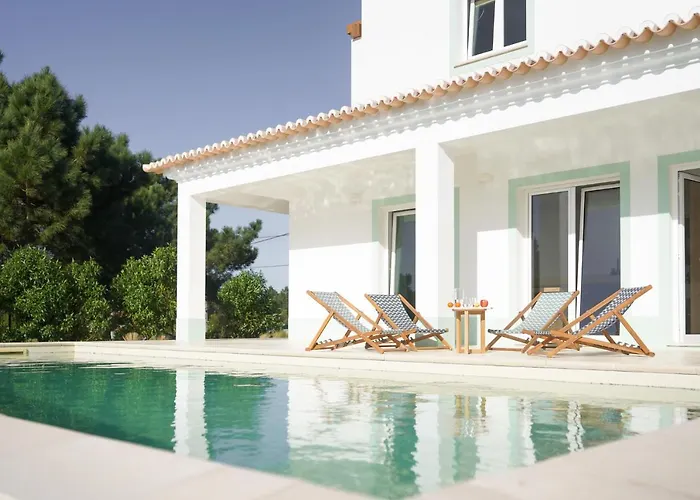 Birds Of Paradise - Boutique Surf