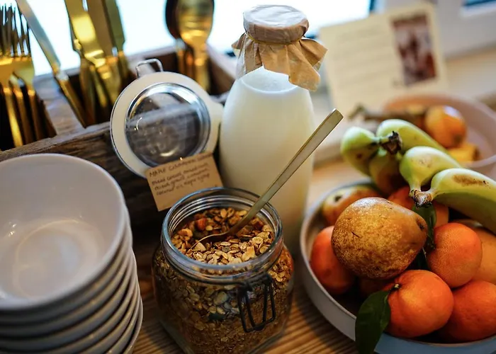 Birds Of Paradise - Boutique Surf Lodge