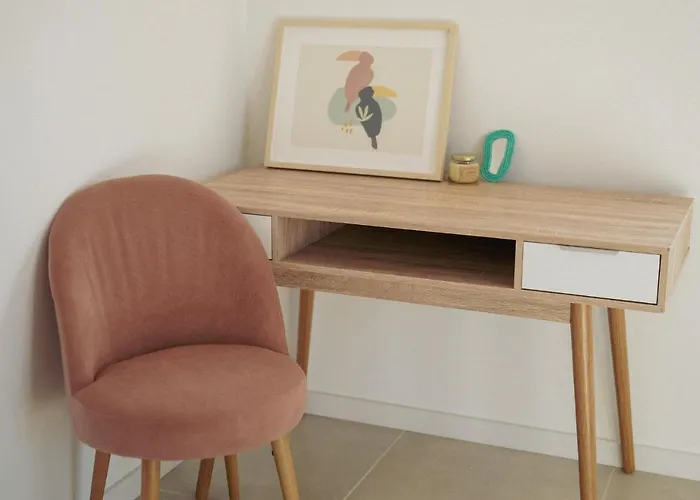 Birds Of Paradise - Boutique Surf *