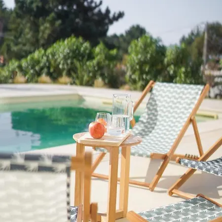 Birds Of Paradise - Boutique Surf Aljezur