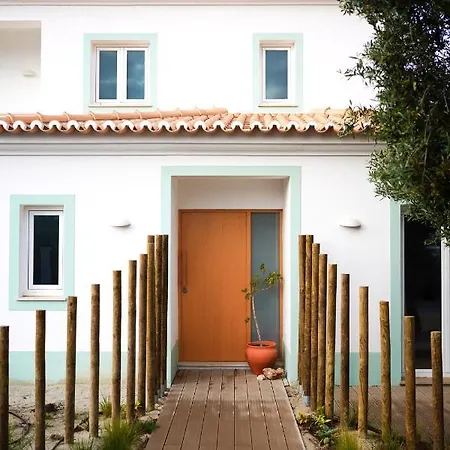 Birds Of Paradise - Boutique Surf Aljezur