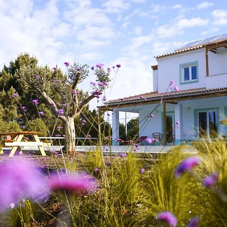 Lodge Birds Of Paradise - Boutique Surf Aljezur