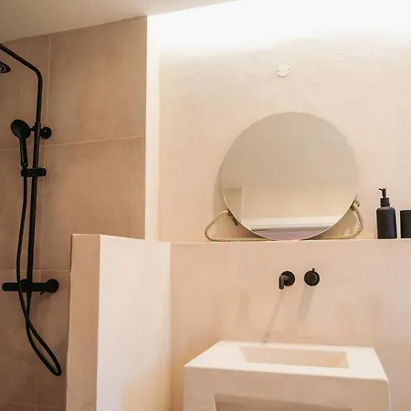 Birds Of Paradise - Boutique Surf *