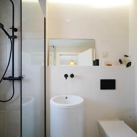 Lodge Birds Of Paradise - Boutique Surf