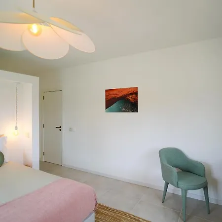 Lodge Birds Of Paradise - Boutique Surf