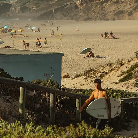 Birds Of Paradise - Boutique Surf *