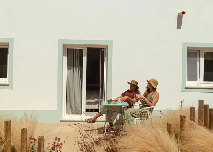 Birds Of Paradise - Boutique Surf