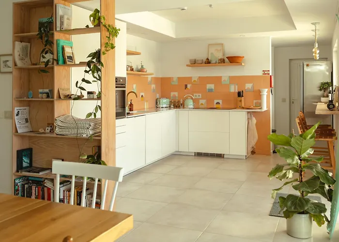 Birds Of Paradise - Boutique Surf Aljezur