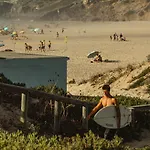 Birds Of Paradise - Boutique Surf *