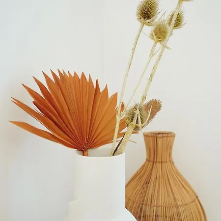 Birds Of Paradise - Boutique Surf Orman Evi *