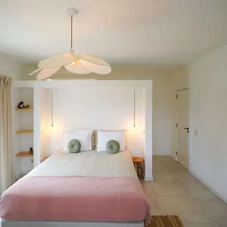 Birds Of Paradise - Boutique Surf Orman Evi